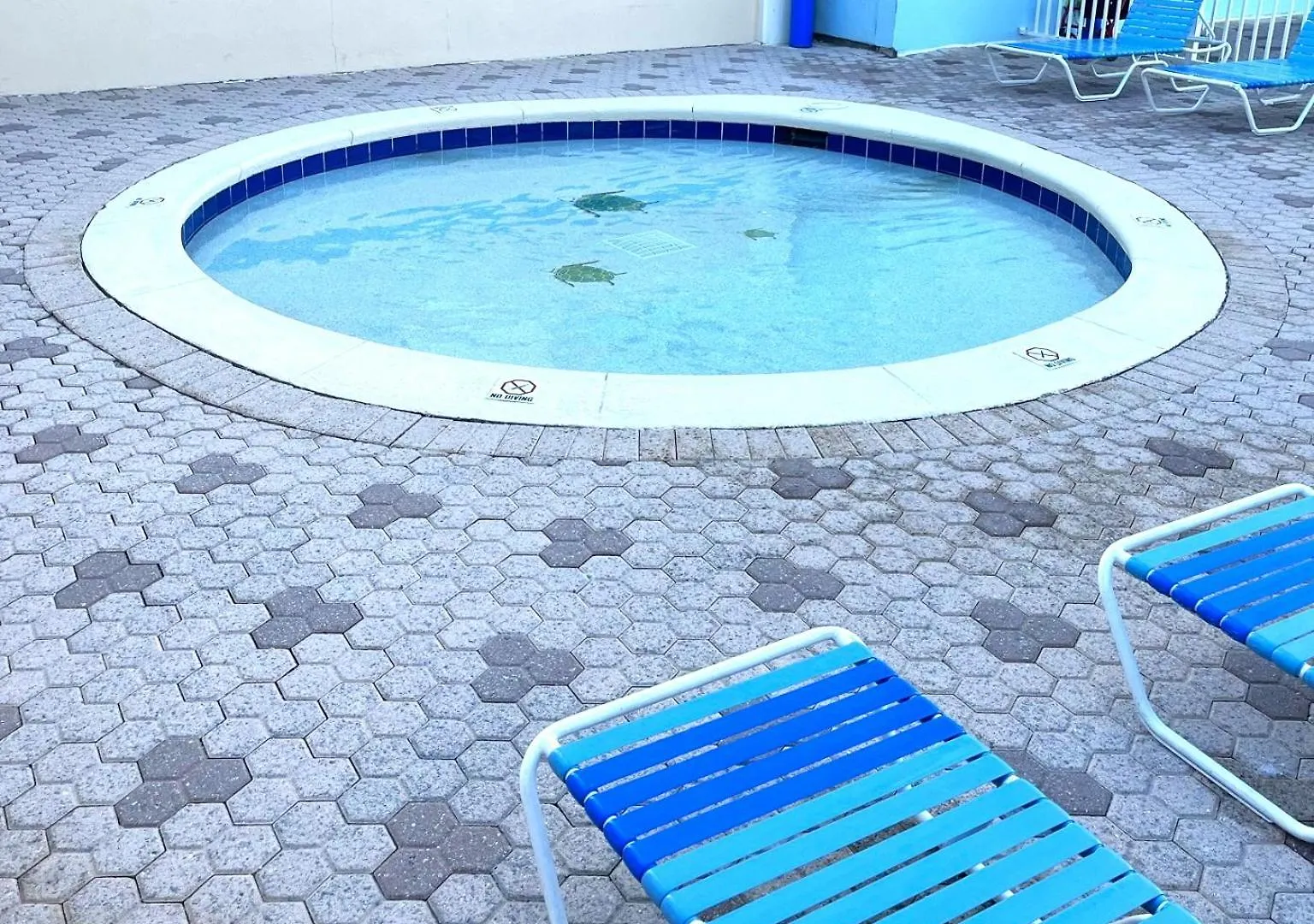 Apartmán Majestic Blue Dolphin Panama City Beach 0*,